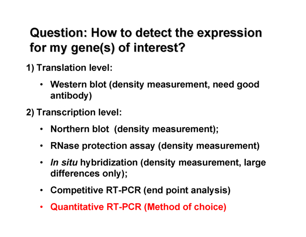 Real-Time PCR Miner_NeuroDev_LabMeeting_2005_05_13_Page_04