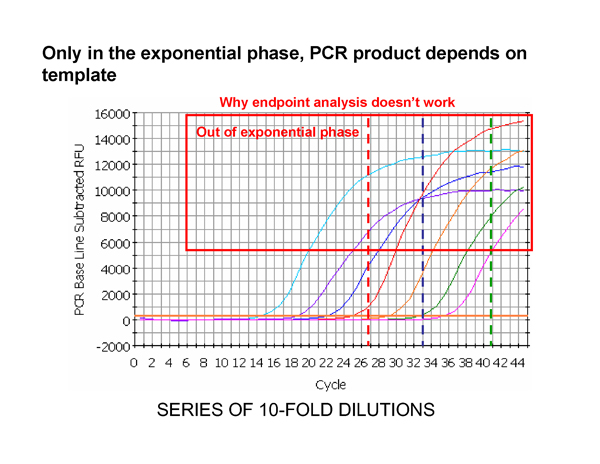 Real-Time PCR Miner_NeuroDev_LabMeeting_2005_05_13_Page_08