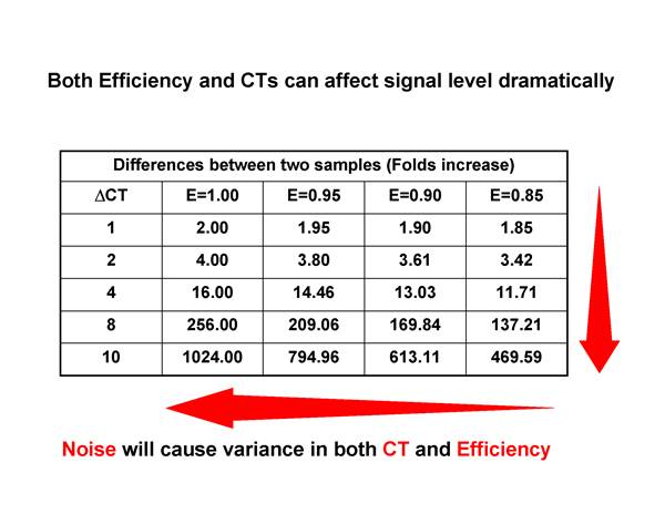 Real-Time PCR Miner_NeuroDev_LabMeeting_2005_05_13_Page_16