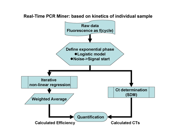 Real-Time PCR Miner_NeuroDev_LabMeeting_2005_05_13_Page_19