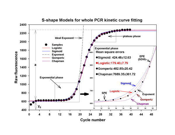 Real-Time PCR Miner_NeuroDev_LabMeeting_2005_05_13_Page_21