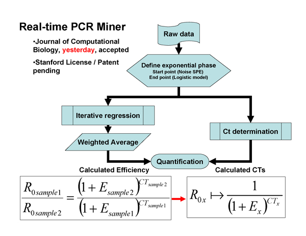 Real-Time PCR Miner_NeuroDev_LabMeeting_2005_05_13_Page_40