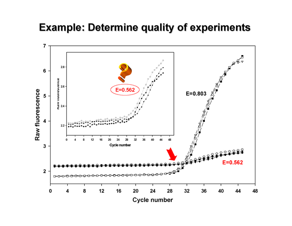 Real-Time PCR Miner_NeuroDev_LabMeeting_2005_05_13_Page_48