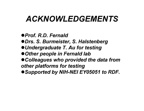Real-Time PCR Miner_NeuroDev_LabMeeting_2005_05_13_Page_51