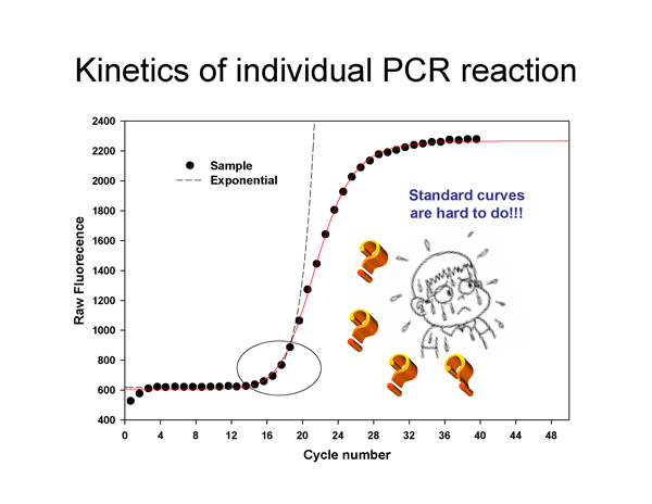 Real-Time PCR Miner_NeuroDev_LabMeeting_2005_05_13_Page_52