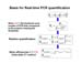 Real-Time PCR Miner_NeuroDev_LabMeeting_2005_05_13_Page_12
