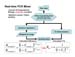 Real-Time PCR Miner_NeuroDev_LabMeeting_2005_05_13_Page_40