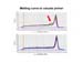 Real-Time PCR Miner_NeuroDev_LabMeeting_2005_05_13_Page_44